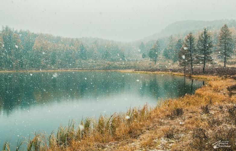 Где горы дышат, вода лечит, а кони ведут к чуду