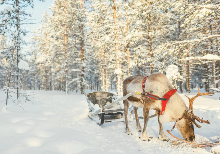 Жемчужина Карелии: природа, история и уют