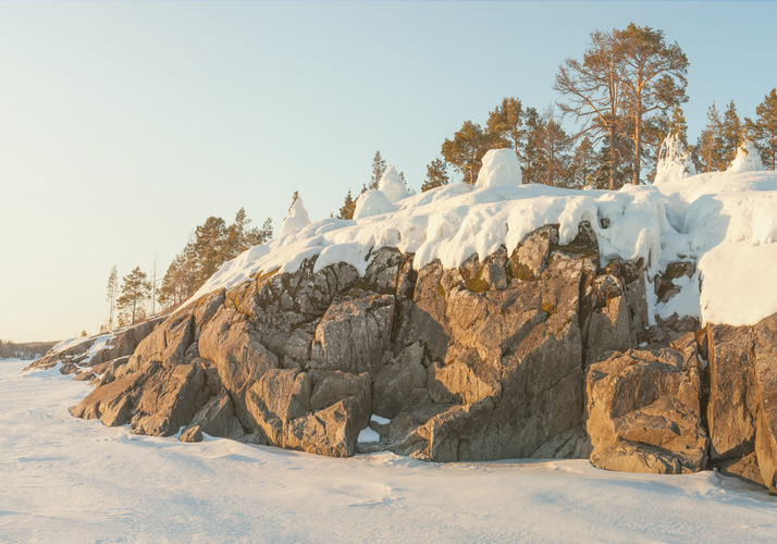 Автобус| Сказка для всей семьи: хаски и карельский Дед Мороз ждут в гости!