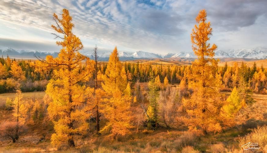 Красноярск - Дудинка - Плато Путорана - Норильск 10 дней