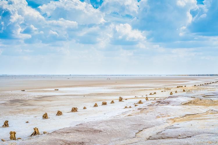 Киргизия в цвету: где каждый лепесток — это шёпот земли