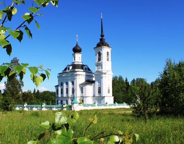 Кострома в сыре: традиции, что хранят вкус веков