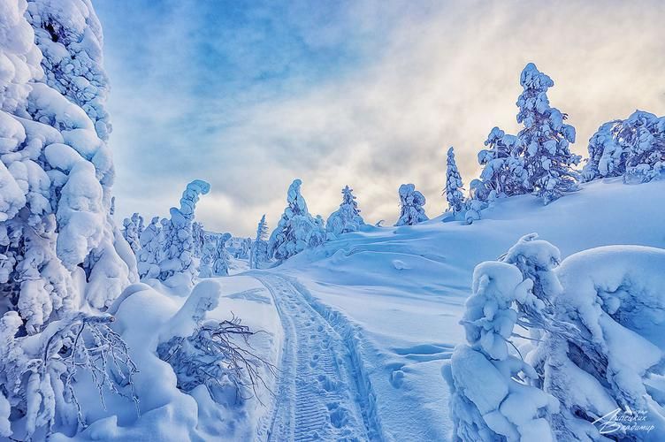 Новогодние каникулы в Лермонтовских местах 6 дней (промо)