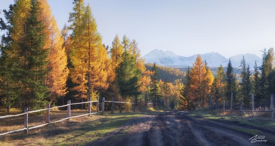 Автобус| Реальный Алтай