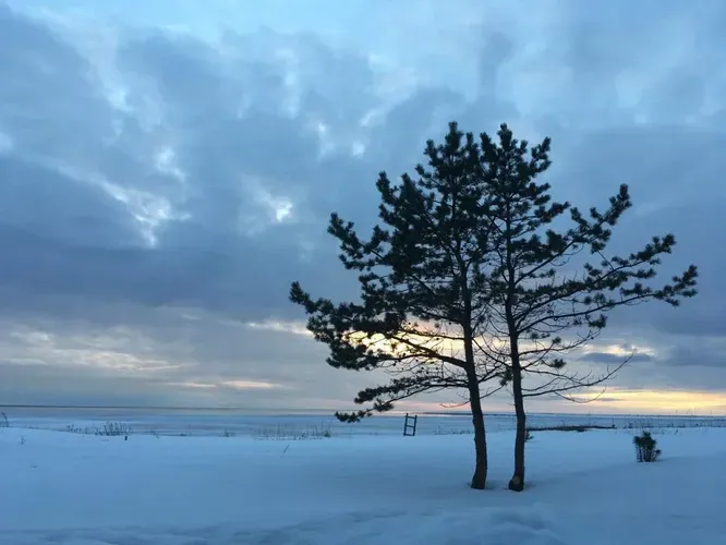 Соловки для туристов из Москвы 6 дней (промо)