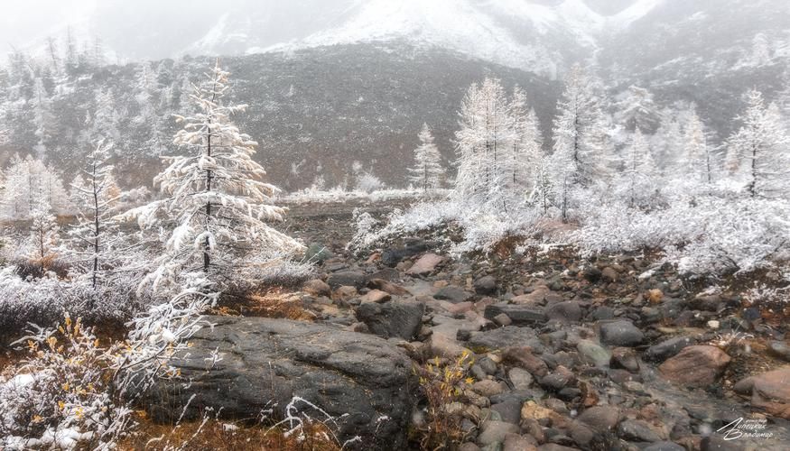 Гармония духа и тела на Алтае