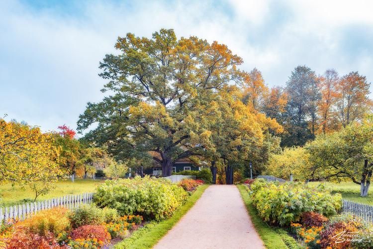 Автобус | По следам Пушкина: усадьбы вдохновения