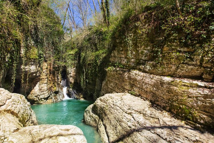 Автобус| Красная поляна и Сочи