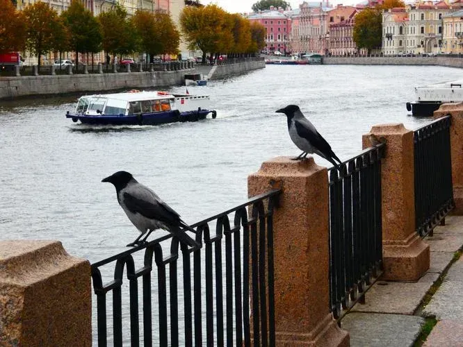 Кронштадт и Петергоф в один день