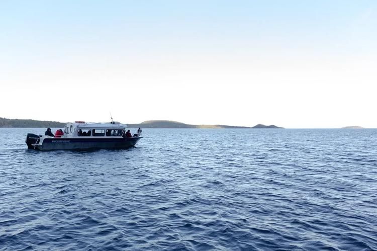 Поезд| По следам легенд Карелии из Белгорода