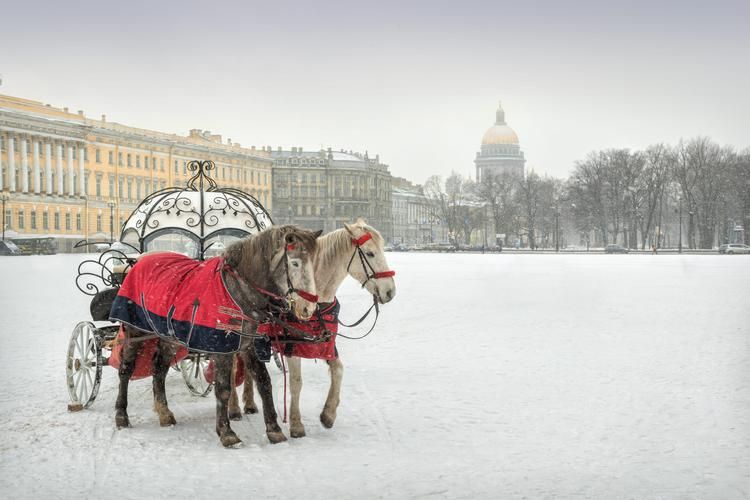 Петербург в снегу: где каждый дворец шепчет новогоднюю тайну