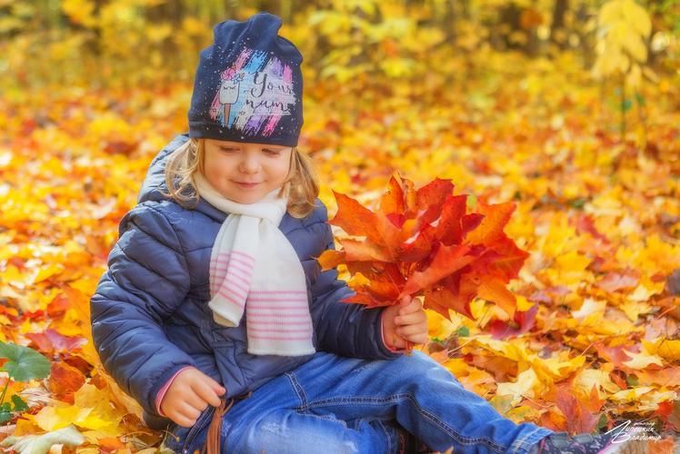 В пути по Черноземью: открытия и приключения