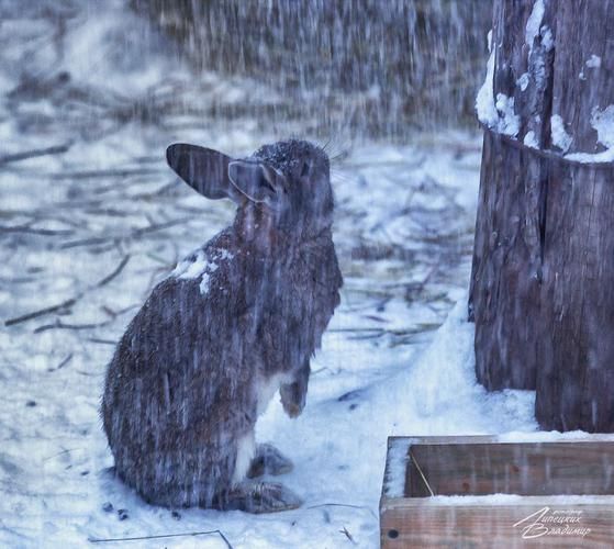 Новый год на берегу Вятки: в гостях у традиций и зимнего очарования
